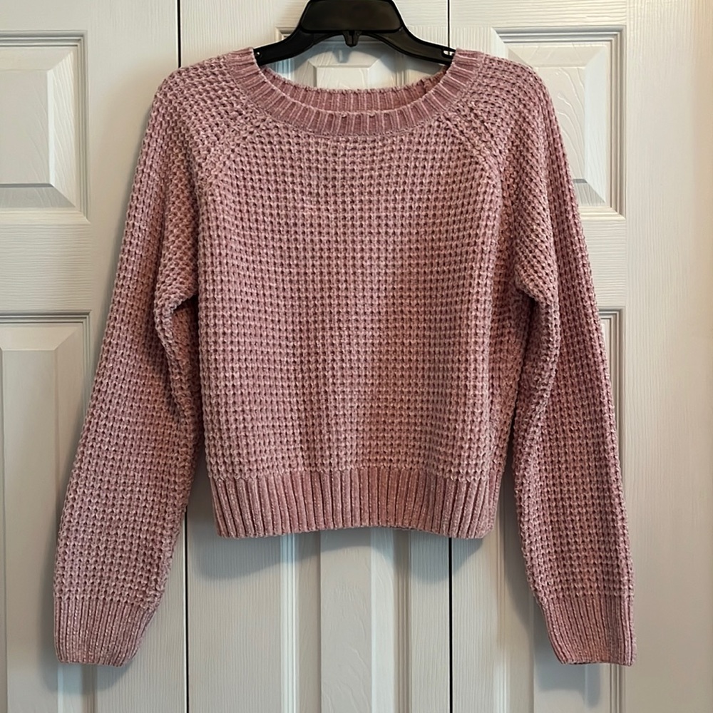 L pink Altard State sweater